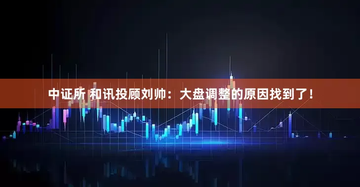 中证所 和讯投顾刘帅：大盘调整的原因找到了！