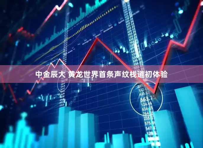 中金辰大 黄龙世界首条声纹栈道初体验