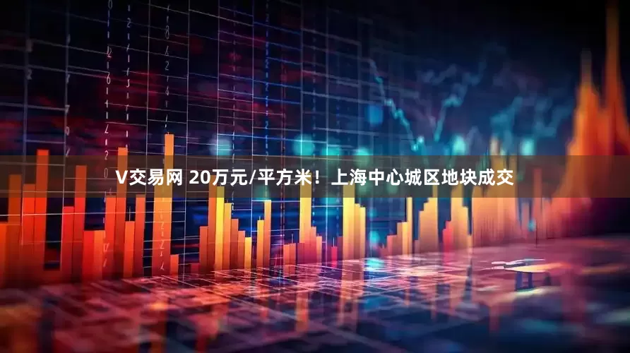V交易网 20万元/平方米！上海中心城区地块成交